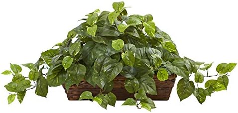 Nearly Natural 34 in Artificial Pothos Ivy Plant with Ledge Basket by NearlyNatural