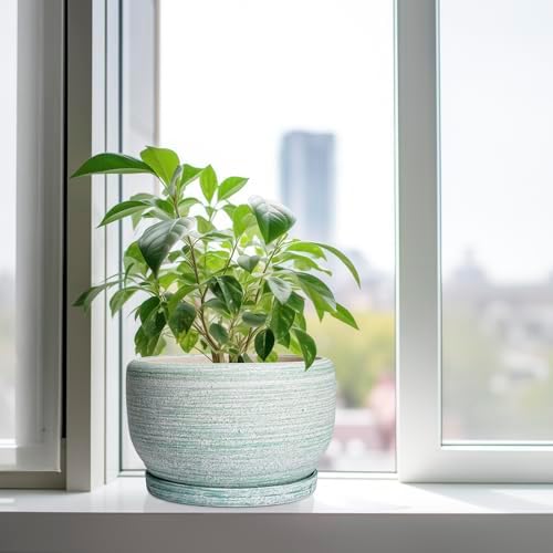 SQOWL Ceramic Pots for Plants - 10 Inch Ceramic Planter for Indoor Outdoor, Modern Round Flower Pot with Drainage Hole and Saucer, Large Planter, Home Office Decor, Gifts for Plant Lovers, Green - Image 4