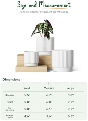 LE TAUCI Ceramic Pots for Plants, 8+6.7+5.5 Inch Plant Pots Indoor, Flower Pot with Drainage Holes, Medium Cylinder Planters for Indoor House Plants, Set of 3, White - Image 5
