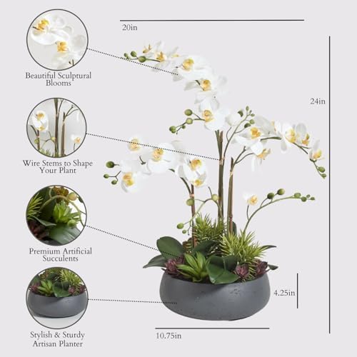CG Hunter, Faux Orchid Plant w/Succulents, 24 in, Grey, Home Decor - Image 2