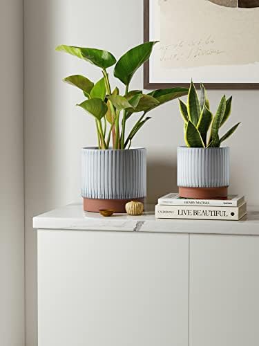 LE TAUCI Ceramic Pots for Plants, 8+6.7+5.5 Inch Plant Pots Indoor, Flower Pot with Drainage Holes, Medium Cylinder Planters for Indoor House Plants, Set of 3, Reactive Glaze White - Image 2