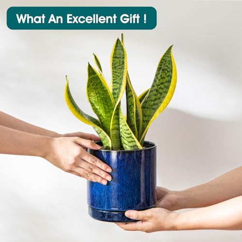 vancasso Ceramic Planters, Plant Pots for Indoor Plants, 6.25+8.25+10.25 Inch Ceramic Pots for Plants, Flower Pots with Drainage Holes (Blue, 6.25+8.25+10.25 Inch) - Image 6