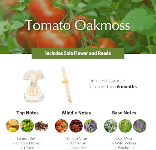 Agraria Monique Lhuillier Tomato Oakmoss PetiteEssence Fragrance Reed Diffuser, 1.7 Oz, Fresh Alluring Sola Flower Earthy Scent Diffusers for Home - Image 3