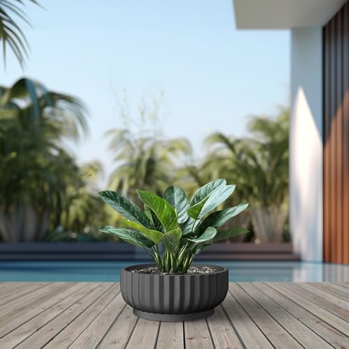 Kante Large Round Shallow Black Concrete Planter 20.9" Dia, Outdoor - Image 4