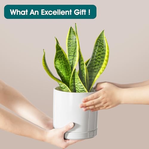 vancasso Ceramic Plant Pots, 6.25 Inch Ceramic Pot for Plants, Planters Pots for Indoor Plants with Drainage Holes, Flower Pot for Indoor House Plant, White - Image 4