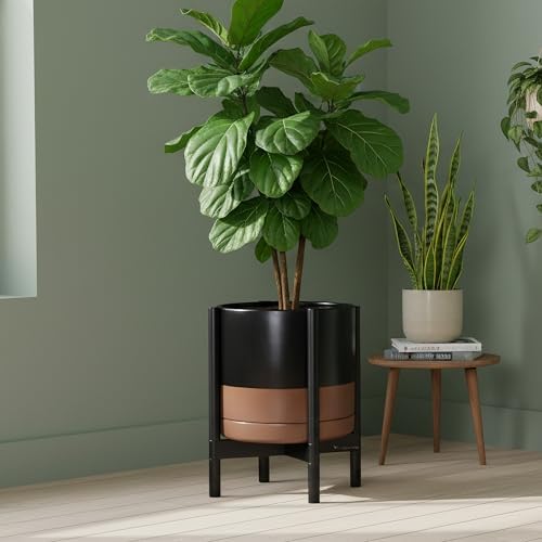 D'vine Dev Ceramic Pot with Ebony Wood Stand, Black/Tan, 12 in, 55-B-H-7 - Image 2