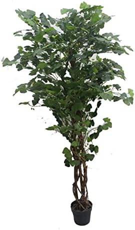Jeco Inc 70" Ginkgo Tree by Jeco