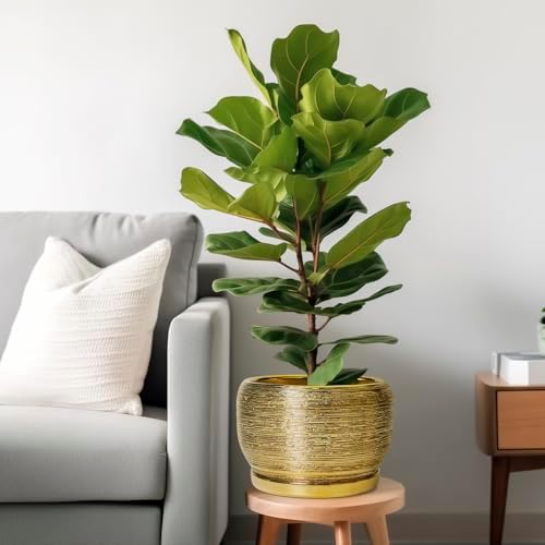 SQOWL Ceramic Planter for Indoor Plants - 10 Inch Plant Pot with Drainage Hole and Saucer, Modern Round Planter Outdoor, Large Decorative Flower Pot, Apartment Decor, Birthday Gifts, Gold - Image 2