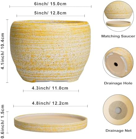 SQOWL Ceramic Planter - 6 Inch Plant Pot Indoor with Drainage Hole and Saucer, Decorative Ceramic Flower Pot Outdoor, Round Succulent Planters, Home Office Bedroom Decor, Birthday Gifts, Yellow - Image 3