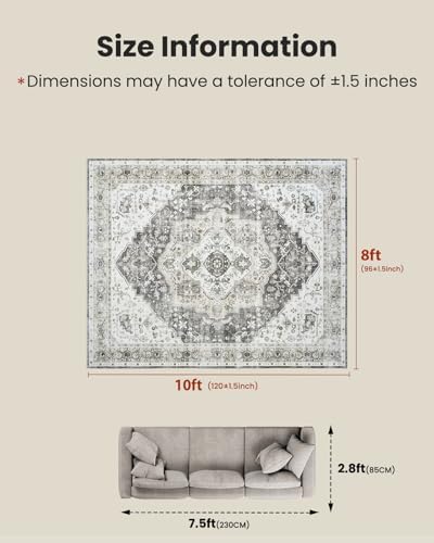 Amada Large 8x10 Washable Area Rug for Living Room, Grey, Vintage Pattern - Image 2