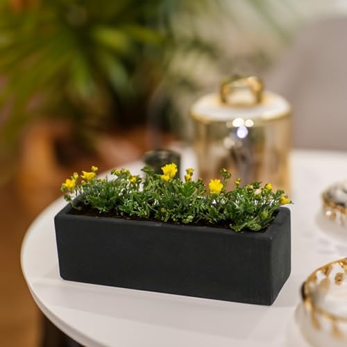 WGVI Long Rectangle Ceramic Planter Vase in Black 12" x 4" x 4"H, Block Rectangular Terrarium Box Pot, Flower Arrangement, Table top Centerpiece, Home Decor Organization Storage Container, 1 Pc. - Image 6