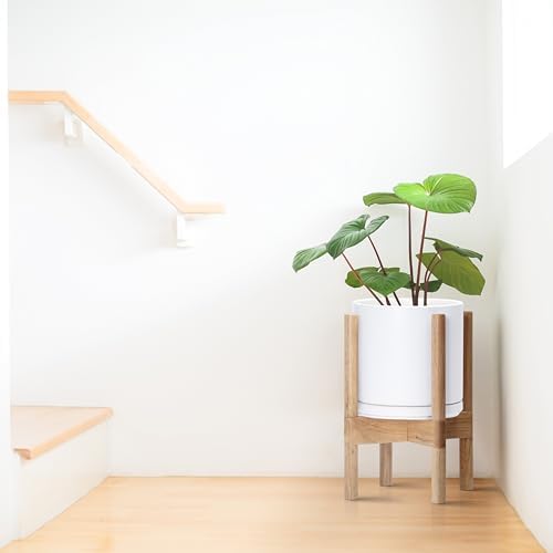 D'vine Dev Ceramic Pot with Natural Wood Stand, White, 8 in, 55-B-N-1 - Image 2