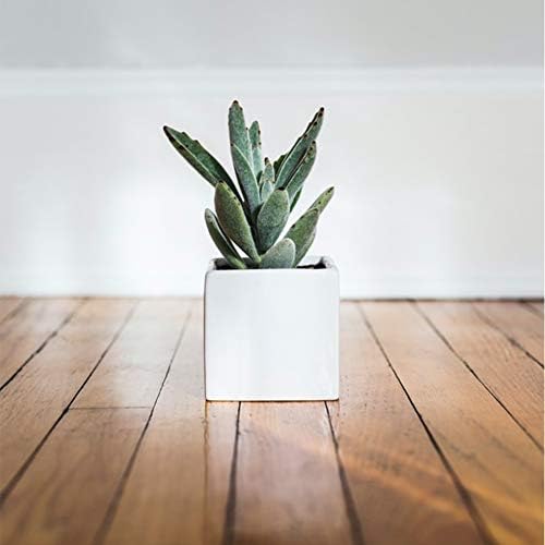 WGV Ceramic Cube Vase Bulk Width 4" Height 4" (Fits 3" Pot) Elegant Modern Block Square Floral Planter Terrarium Container Table Dresser for Event Accent Home Office Decor White 12 Pieces - Image 3