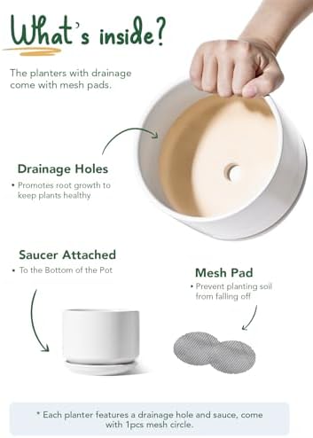 LE TAUCI 6.8 Inch Ceramic Pots for Plants, Indoor Plant Pot, White - Image 3