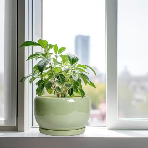 SQOWL Ceramic Planter - 10 Inch Pot for Plants Indoor Outdoor, Round Modern Flower Pot with Drainage Hole and Saucer, Decorative Large Planter, Office Decor, Plant Lovers Gifts, Green - Image 4