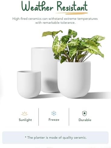 LE TAUCI 6, 8 & 10 Inch Ceramic Planter Set for Indoor Plants, White - Image 5