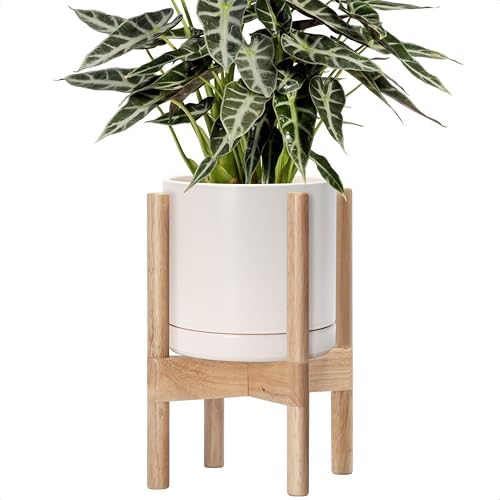 D'vine Dev Ceramic Pot with Natural Wood Stand, Oatmeal, 8 in, 55-B-N-8 by DvineDevPlanterPotsandStand