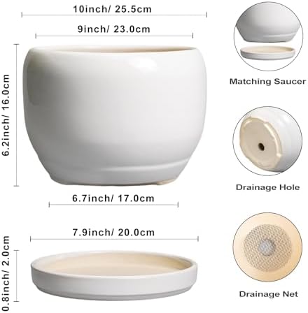 SQOWL Ceramic Pot for Plants - 10 Inch Planter with Drainage Hole and Saucer, Round Ceramic Flower Pot for Indoor Outdoor, Modern Decorative Large Planter, Patio Decor, Gifts for Plant Lovers, White - Image 3