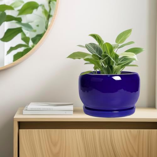 SQOWL Ceramic Plant Pot - 10 Inch Ceramic Planter for Indoor Outdoor, Round Flower Pot with Drainage Hole and Saucer, Modern Decorative Large Planter, Garden Decor, Plant Lover Gifts, Blue - Image 7