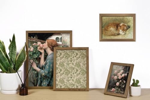 ANERZA 16 PCS Framed Vintage Wall Art Decor, French Country Wall Prints for Bedroom, Landscape Gallery Wall Frame Set, Farmhouse Posters for Living Room Aesthetic, Rustic Collage Kit, Dorm Home Decor - Image 5