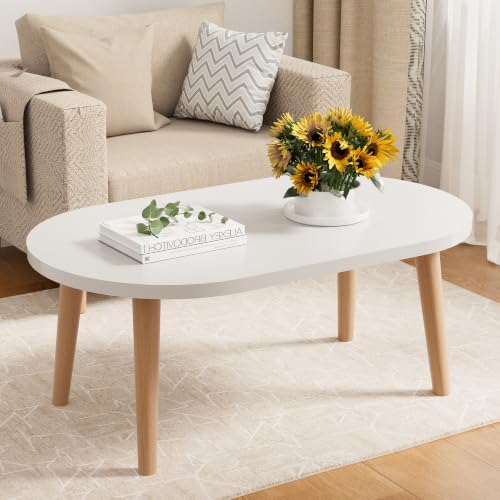 Small Coffee Table, Low Table with Solid Wood Legs, 23.6" Mini Oval Accent Table Side End Table, Floor Table Desk for Sitting on The Floor, Coffee Tea Table for Living Room, Dorm, Apartment, White by FURMORENE
