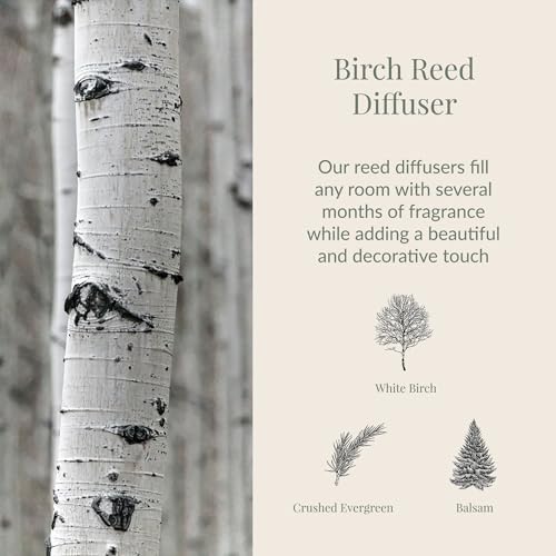 Archipelago Botanicals Birch Reed Home Fragrance Reed Diffuser, 7.85 fl oz - Image 2