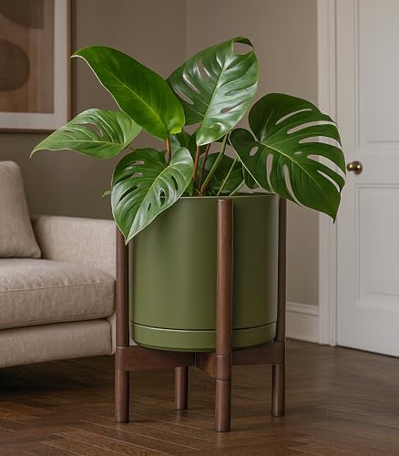 D'vine Dev Ceramic Pot with Walnut Wood Stand, Olive, 12 in, 55-B-W-J - Image 6