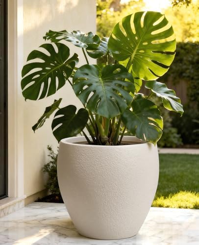 homenote 14.5 Inch Large Plastic Flower Pot with Drainage for Plants - Image 5