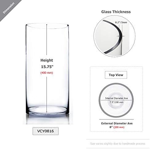 WGV Cylinder Vase, Width 8", Height 16", Clear Wide Large Diameter Flower Glassware, Floral Container, Planter Terrarium for Wedding Party Event, Home Accent Decor, 1 Piece - Image 2