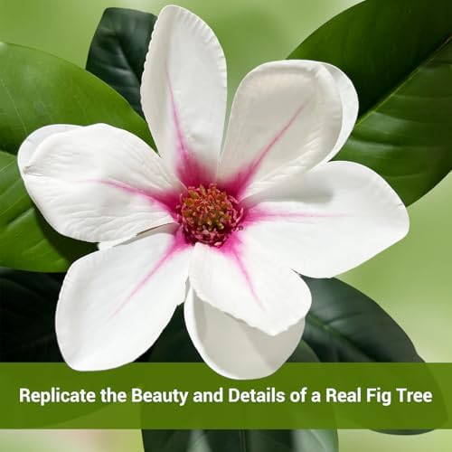 7FT Tall Lifelike Artificial Magnolia Tree with 6 Pcs Magnolia Flowers in White Planter Pot, Rubber Tree Faux Plants Indoor Artificial Plants & Flowers for Home Office Living Room Decor - Image 4