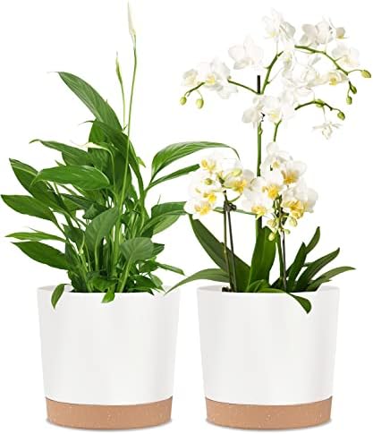 kubvici 2 Pack 8 Inch Planters for Indoor Plants, Plastic Flower Pots Plant Pots Indoor with Drainage Saucer for Outdoor Garden Home Plant, White 8” by kubvici