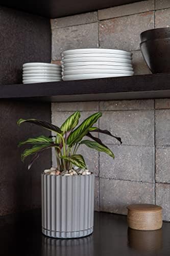 Veradek Demi Series Demi 6" Planter w/Tray, Grey - Image 5