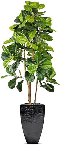 LCG Florals 6ft Artificial Fiddle Leaf Fig Tree - Real Wood Trunk, Preassembled, No Maintenance Indoor Faux Plant in Black Metal Pot - Living Room, Home & Office Decor by LCGFlorals