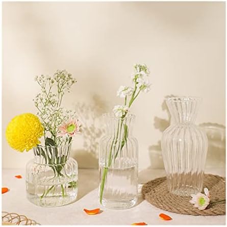 Decorative Vase Small Vase Glass Flower Vase Transparent Table Decoration Living Room Kitchen Tea Table Flower Vase Flower Arrangement Water Culture Lovely Flower Set Ceramic Vase Glass Vase Hydroponi by Unknown