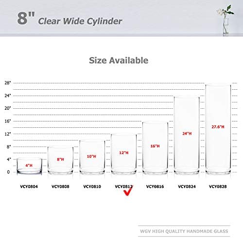 WGV Cylinder Vase, Width 8", Height 12", Clear Wide Large Diameter Flower Glassware, Floral Container, Planter Terrarium for Wedding Party Event, Home Accent Decor, 1 Piece - Image 3