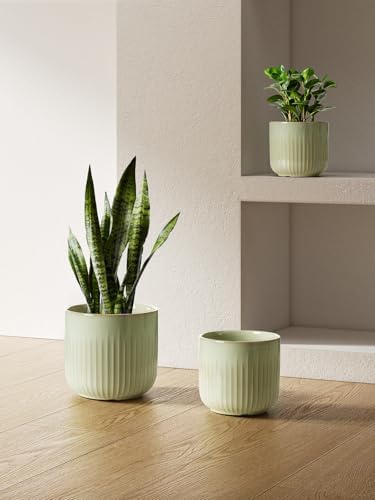 LE TAUCI Ceramic Pots for Plants, 8.3/7/6 Inch Indoor Planters with Drainage Holes & Mesh, Modern Glossy Glaze Cylinder Fluted Plant Pot for Snake Plant, Set of 3, Sage Green - Image 4