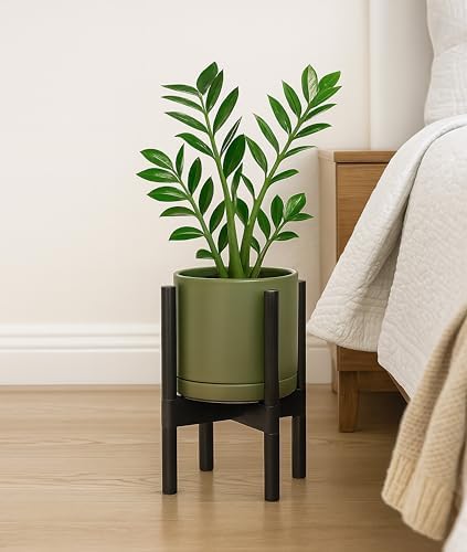 D'vine Dev Ceramic Pot with Ebony Wood Stand, Olive, 8 in, 55-B-M-J - Image 6