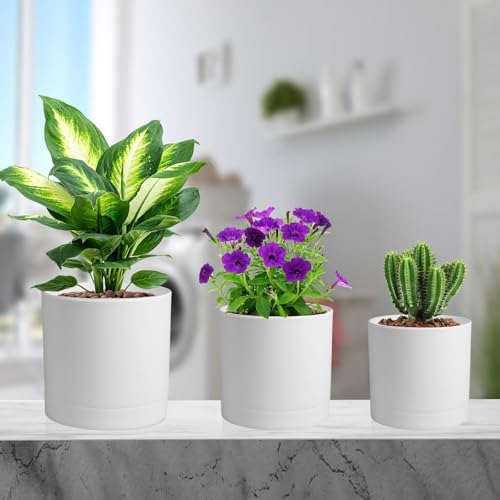 Meowell 7/6.5/6/5/4 inch Flower Pots, 5 Pack Cylinder Plant Pots for Small Indoor Outdoor Plants, Plastic Planters with Drainage Holes and Saucers for Garden Succulent Nursery House Plants, White - Image 7
