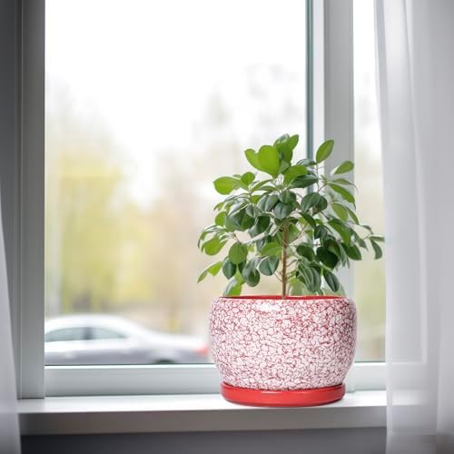 SQOWL Ceramic Pots for Plants - 8 inch Indoor Planter with Drainage Hole and Tray, Ceramic Flower Pot Outdoor, Round Decorative Planter, Bedroom Decor, Gifts for Plant Lovers, Red and White - Image 4