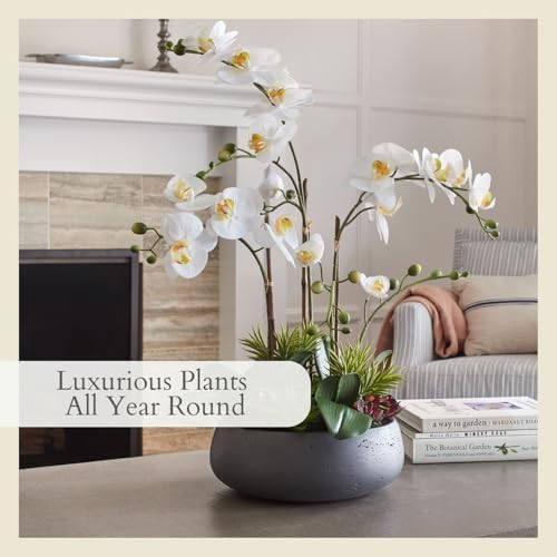 CG Hunter, Faux Orchid Plant w/Succulents, 24 in, Grey, Home Decor - Image 5