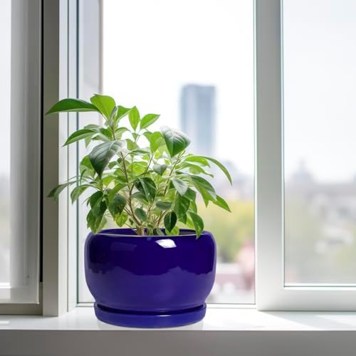 SQOWL Ceramic Plant Pot - 10 Inch Ceramic Planter for Indoor Outdoor, Round Flower Pot with Drainage Hole and Saucer, Modern Decorative Large Planter, Garden Decor, Plant Lover Gifts, Blue - Image 4