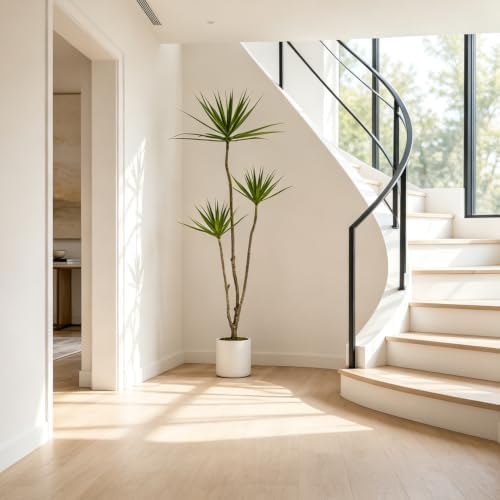 5.2FT Artificial Dracaena Marginata Tree for Indoor Outdoor Decor - Image 5