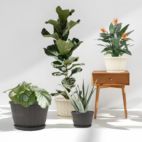 Quarut 4 Pack 10 inch Flower Pots,Plastic Plants Pots Outdoor - Image 3