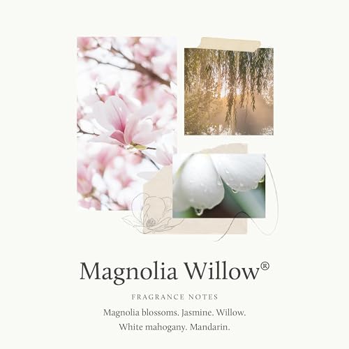 Thymes Petite Reed Diffuser - Magnolia Willow - 4.0 Fl Oz - Image 3