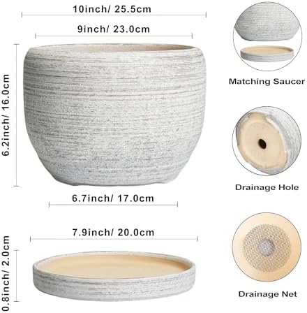 SQOWL Ceramic Flower Pots - 10 Inch Plant Pot Indoor with Drainage Hole and Saucer, Modern Ceramic Planter Outdoor, Decorative Large Round Planter, Bedroom Decor, Plant Lovers Gifts, Gray - Image 3