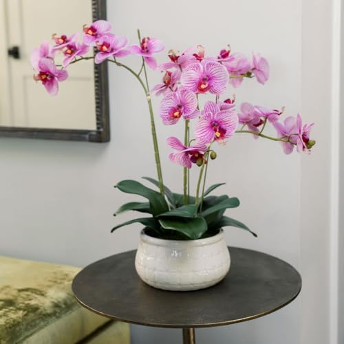 CG Hunter, Faux Orange Orchid Plant, 23 in, White, Home Decor by CGHunter