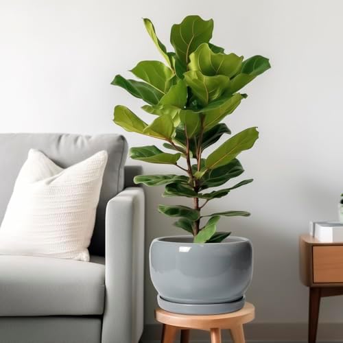 SQOWL 10 Inch Plant Pot - Ceramic Planter for Indoor Plants, Round Ceramic Flower Pot with Drainage Hole and Saucer, Modern Large Outdoor Planter, Room Decor, Housewarming Gifts, Gray - Image 2