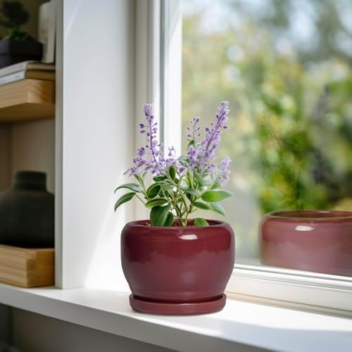 SQOWL 6 Inch Plant Pot - Ceramic Planter for Indoor Plants Outdoor, Round Planter with Drainage Hole and Saucer, Decorative Modern Small Flower Pots, Room Decor, Gifts for Plant Lovers, Red - Image 2
