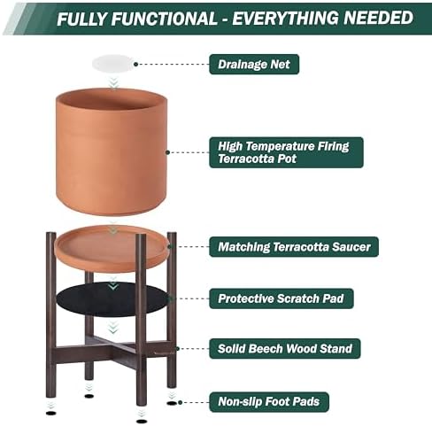 D'vine Dev Terracotta Pot with Walnut Wood Stand, 12 in, 55-B-W-5 - Image 5