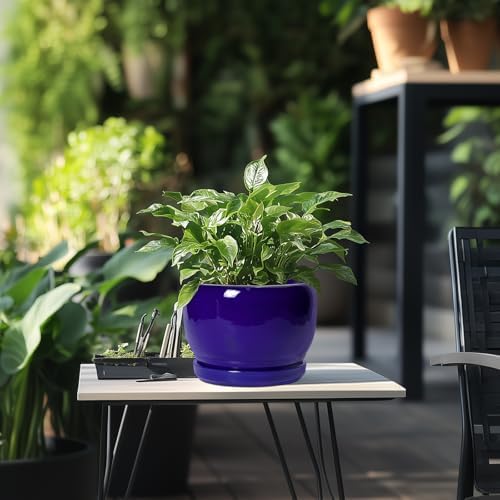 SQOWL 8 Inch Plant Pot - Ceramic Planter for Indoor Plants Outdoor, Ceramic Flower Pot with Drainage Hole and Saucer, Modern Round Planter, Bathroom Decor, Gifts for Plant Lovers, Blue - Image 5
